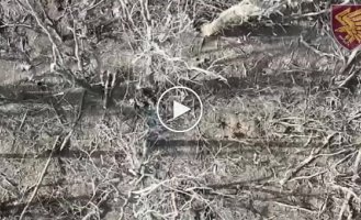 Оккупант с порванным задом догорает в кустах после сброса с украинского дрона