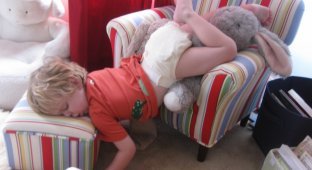 20 доказательств того, что малыши могут уснуть где угодно (20 фото)