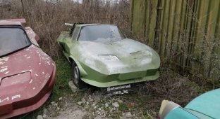 В Болгарии обнаружили заброшенные мелкосерийные спорткары из 80-х (7 фото)