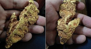 Австралийский золотоискатель нашел самородок стоимостью 30 000 долларов (5 фото)