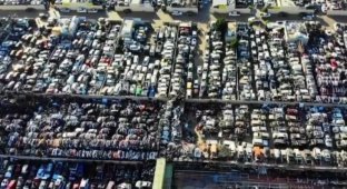 Тысячи заброшенных роскошных автомобилей в ОАЭ (9 фото + 1 видео)