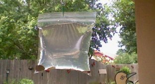 Этот простой прием с пластиковым пакетом отгонит всех мух от вашего дома (9 фото)