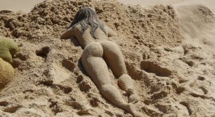 Скульптуры из песка (4 фото)