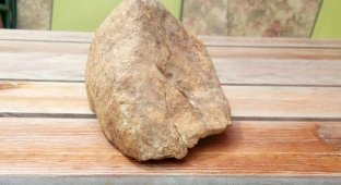 Расколовшийся камень показал свое содержимое (3 фото)