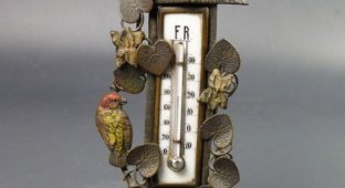 Сага о термометре (12 фото)