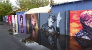Стена памяти Дэвида Боуи в Аризоне (10 фото)
