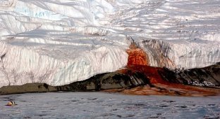 27 фактов об Антарктиде, которые вас удивят (28 фото)