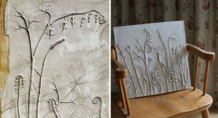 Британская художница Рэйчел Дейн создаёт искусные «окаменелости», используя живые растения и гипс (17 фото)