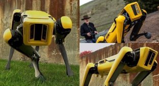 Boston Dynamics начала продажу робособаки Spot (3 фото)