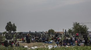 Временное пристанище для беженцев в Сербии (32 фото)