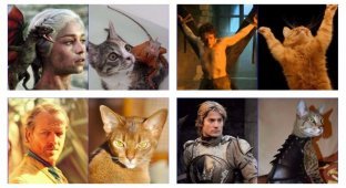 26 кошек, страшно похожих на героев Игры престолов (27 фото)