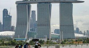 В Сингапуре состоялось открытие гигантского «Небесного парка», построенного на высоте 55 этажа ( больше фото)