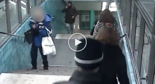 Девушка получила по лицу, при попытке остановить карманника-беженца. Швеция