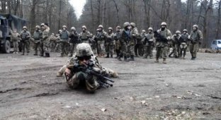 Украинские десантники осваивают венную науку по стандартам НАТО (10 фото)