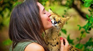 Дикий леопард с ней, как ласковый котенок: кто такая эта девушка? (12 фото)