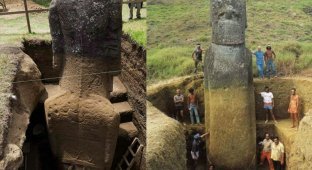 Колоссальные древнейшие моаи раскрывают ученым свои тайны (10 фото)