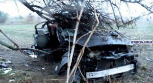 Страшная авария на Николаевщине с участием Infinity и Daewoo (5 фото)