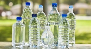 Опасна ли вода в пластиковых бутылках (1 фото)