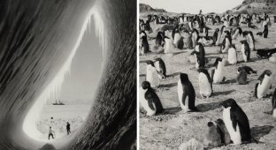 Фотографии смерти: документальный репортаж о гибельной экспедиции Роберта Скотта к Южному полюсу (20 фото)
