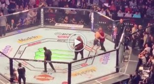 Видео драки на UFC 229 с другого ракурса