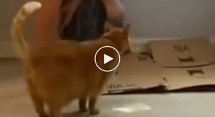 Испанка объясняет котику где точить когти