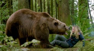 Что нужно делать, чтобы пережить нападение медведя (5 фото)