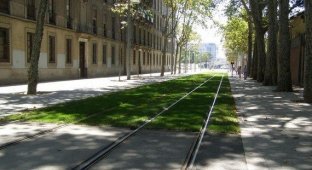 Трава на трамвайных путях (16 фотографий)