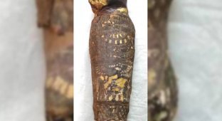 Древнеегипетская мумия «сокола» скрывала труп младенца (3 фото)