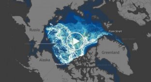 Движение Арктического льда за 27 лет в течение одной минуты