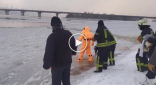Собака выбежала на лед и провалилась под лед