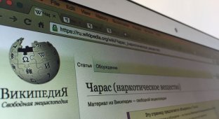 В ближайшее время «Википедия» окажется полностью заблокированной в России (3 фото)