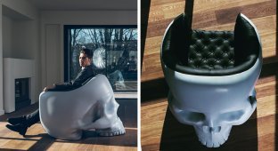 Кресло в виде черепа для тех, кто хочет порадовать своего внутреннего злодея (8 фото)