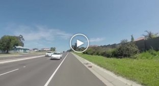 Злобная сорока напала на австралийского велосипедиста