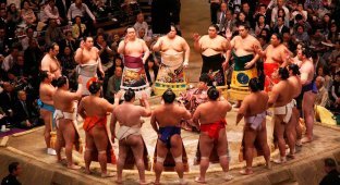 Самые интересные факты о борьбе сумо (15 фото)
