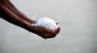 Как добывают соль (28 фотографий)