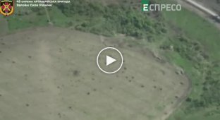 Уничтожения тигра в Харьковской области