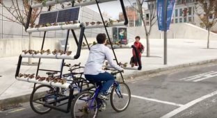Корейцы собрали велоферму (5 фото)