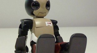 Ropid - очень забавный робот (фото + 2 видео)
