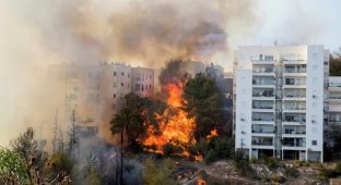Израиль в огне: в результате террористических поджогов Хайфы эвакуированы 60 000 человек (11 фото)