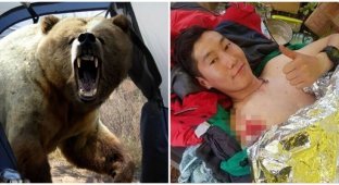 Под Магаданом медведь пришёл в палаточный лагерь и набросился на молодого исследователя (4 фото)