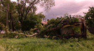 Ураган в Благовещенске (51 фото)