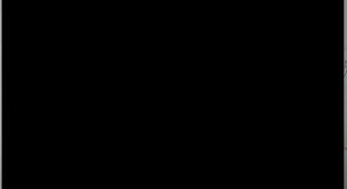 Схема ДТП (1 фото)