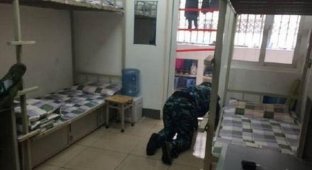 Китайский кадет, доказывая чистоту туалета, облизал пол и унитаз (5 фото)