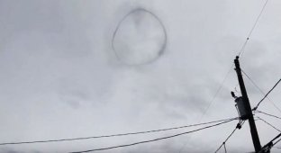 Дымовое кольцо в небе озадачило канадцев (5 фото + 2 видео)