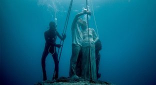 Museo Atlantico: захватывающий подводный музей (35 фото)