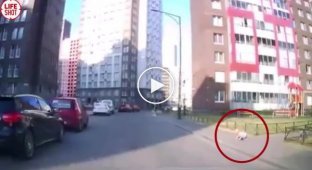 В Кудрово годовалый ребенок уполз с детской площадки на дорогу