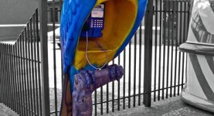 Забавные бразильские телефонные будки