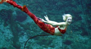 Парк развлечений Weeki Wachee Springs во Флориде: подводное шоу настоящих русалок (6 фото)
