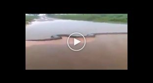 В Бразилии рыбак снял на видео огромную анаконду, неспешно переплывавшую реку