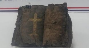 В Турции найдена Библия, возраст которой 1200 лет (4 фото)